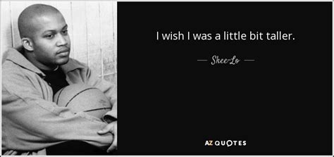 i wish i was a little bit taller|i wish by skee lo.